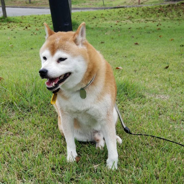 Bc2836ab 789c 4ba2 81f5 44901a469115 1631776525626