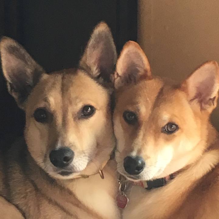 Bc285485 8cde 4030 8846 56c73c5f0759 1539993829395