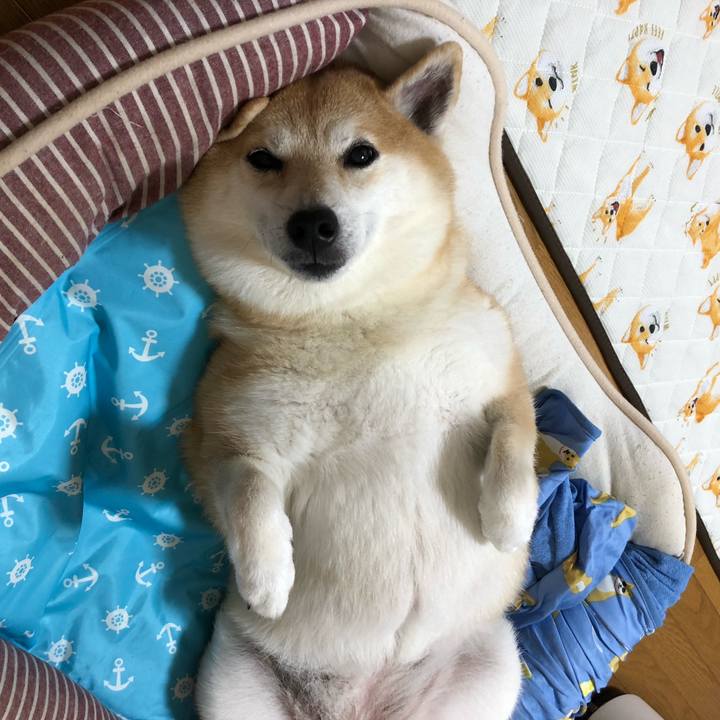 Bc28678f 6e00 4675 a712 63d98830e74c 1567333045188