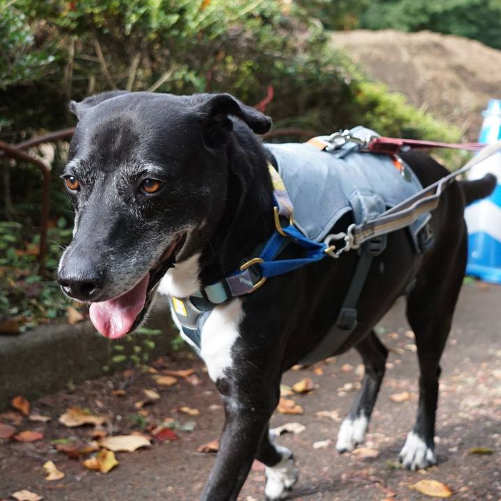 Bc286818 0dd7 412e b163 23482d429ded 1759189580401