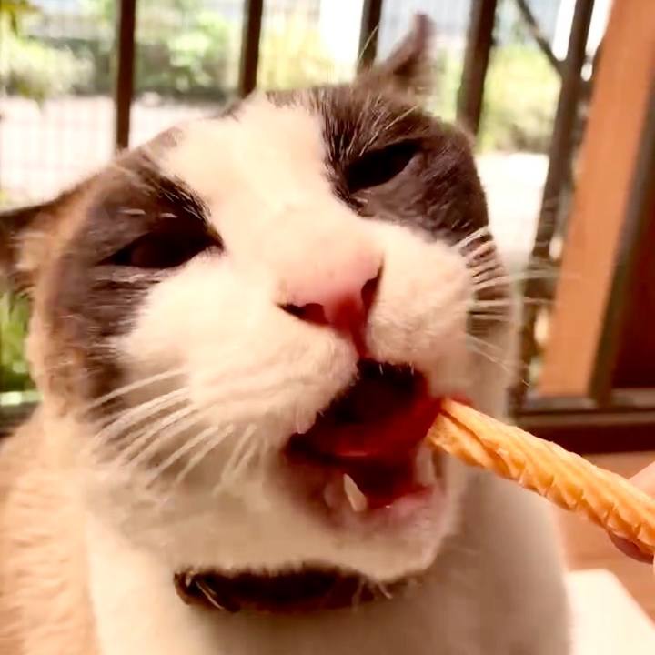 Bc287b23 dfde 4a39 ab62 f4a8520c5fa0 1745636757708