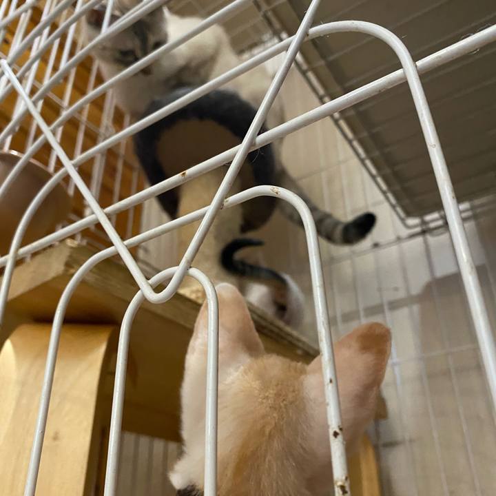 Bc289fa4 1139 46a3 86c8 f93157842de9 1689495488497