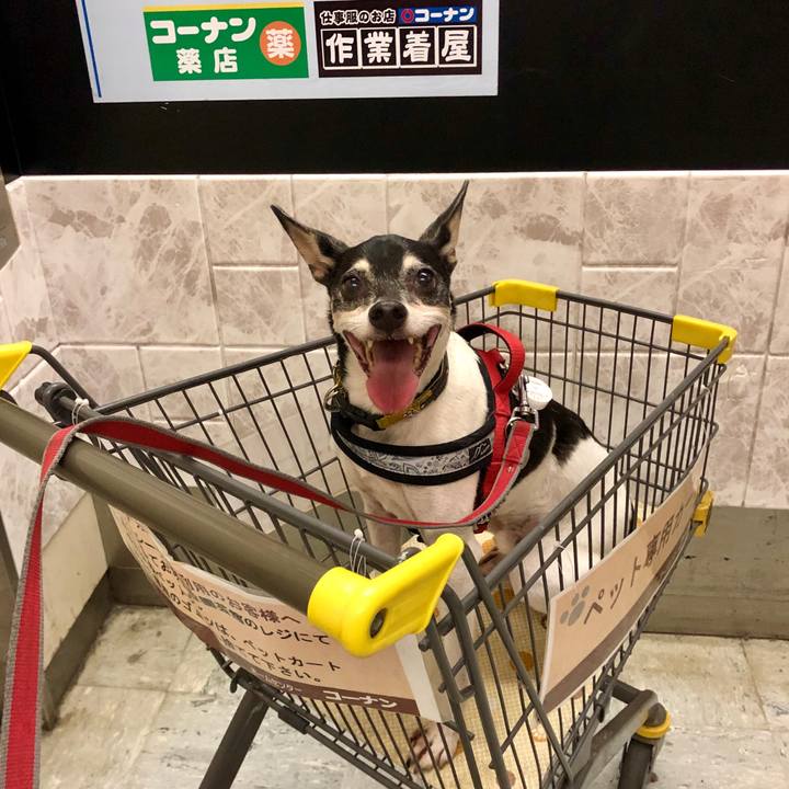 Bc28b619 25af 4453 899c 8f1ade1a4d5f 1563582247784