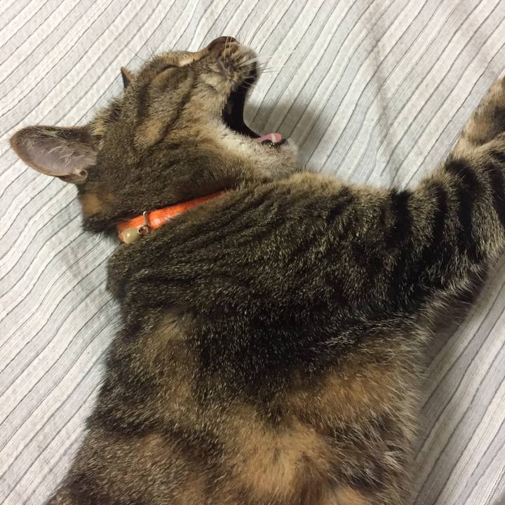 Bc28cd86 95b6 40af 9719 38e7b949f923 1525610242368