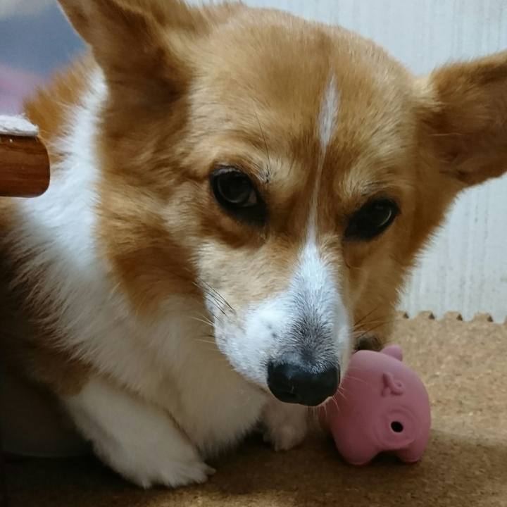 Bc290b7c ba33 46ca b870 c602b45aa44f 1529236155298