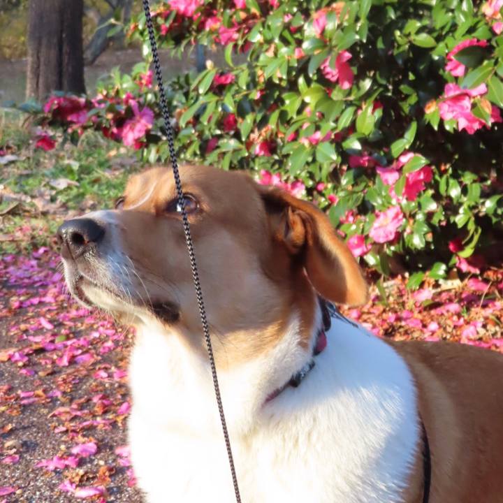 Bc29281d a2a3 449f 847f 8ee63d9be25f 1639528645925