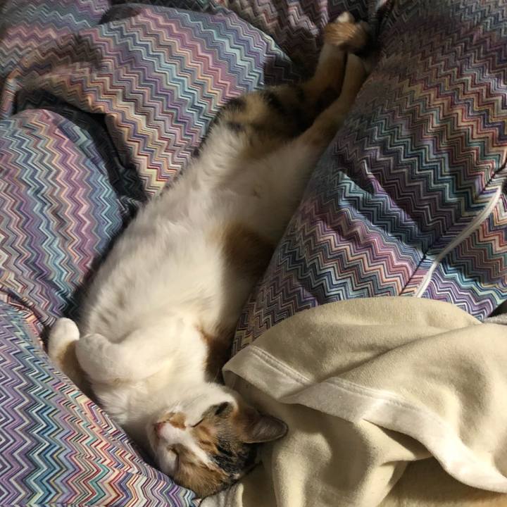 Bc294457 8c8b 4bef 8f43 c371213b2748 1585488723019