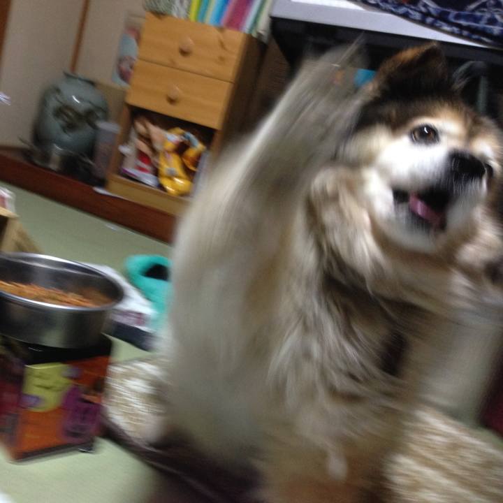 Bc297764 131f 4ea8 ad92 c541e105f11b 1583737888483