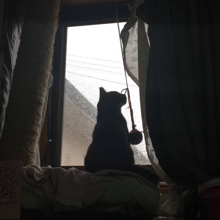 Bc297d4e a2b5 437b 97b3 de7db07f8c5a 1541719111495