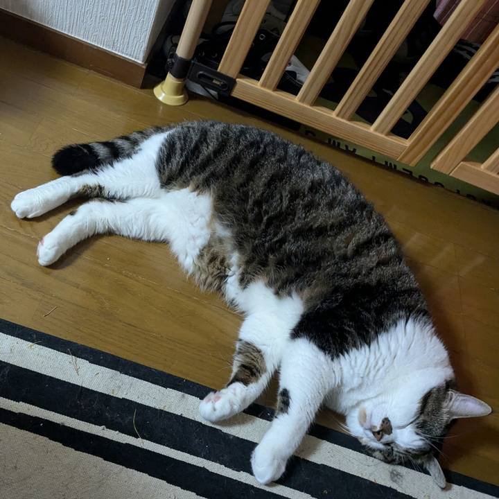 Bc2988dd cbd1 47ed 8369 d13ebde269dc 1730073551331