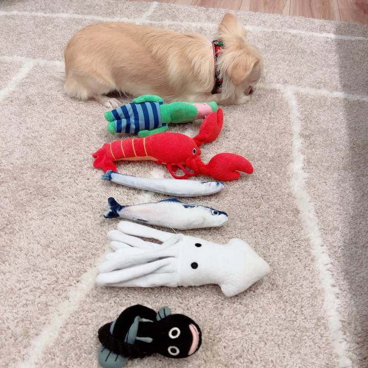 Bc299aa9 c962 47c8 ba7f 390abea89a6b 1709644337426