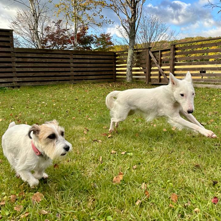 Bc29bf0f 056a 468a bc8d 09c4210d4af0 1697550051358