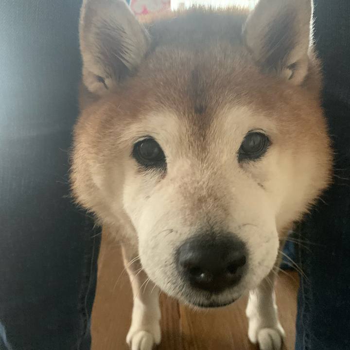 Bc29dd53 e64a 4a91 a9d6 b5773b54843f 1606625852866