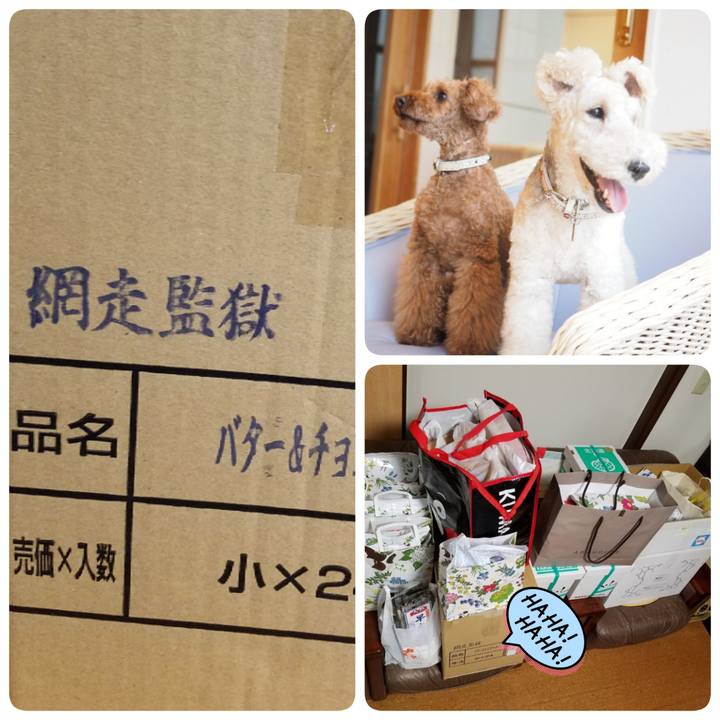 Bc29efdb 701b 4ff1 93ba b4eea7684f1a 1563022913781