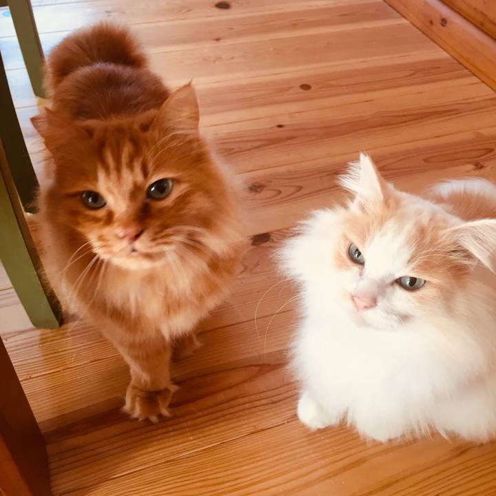 Bc2a05ab ecfb 4ea2 8e95 2b291588794d 1583192973491