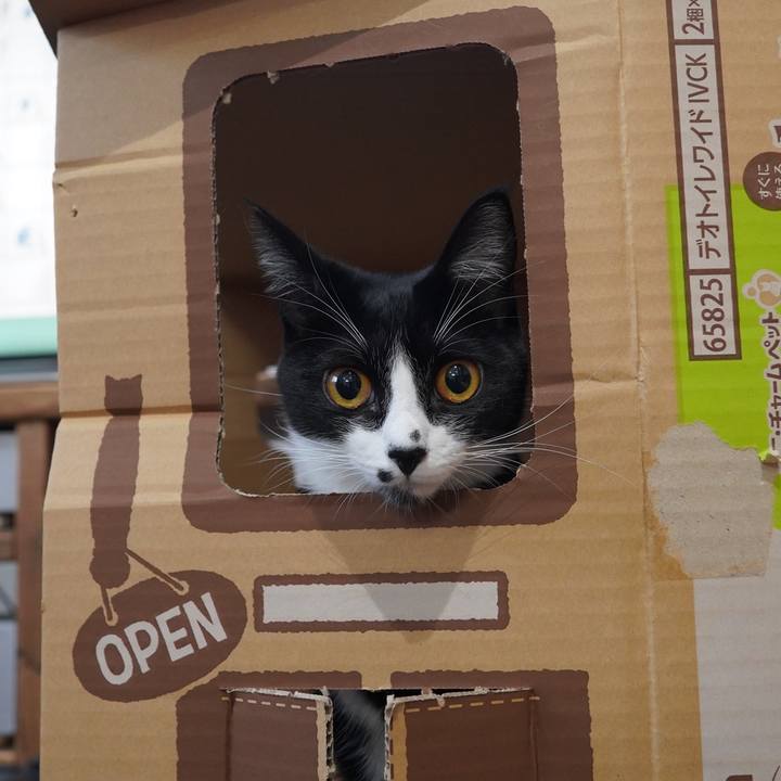 Bc2a0920 d173 4261 a582 91447713c6b6 1606139517139