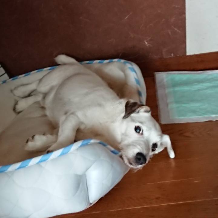 Bc2a2c20 c765 455e 9847 b3f37b409f15 1593991767338