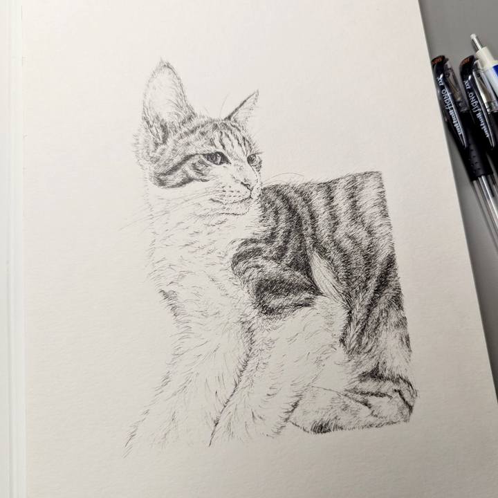 Bc2a4bf8 5656 434e b476 c56f37e65042 1756106833916