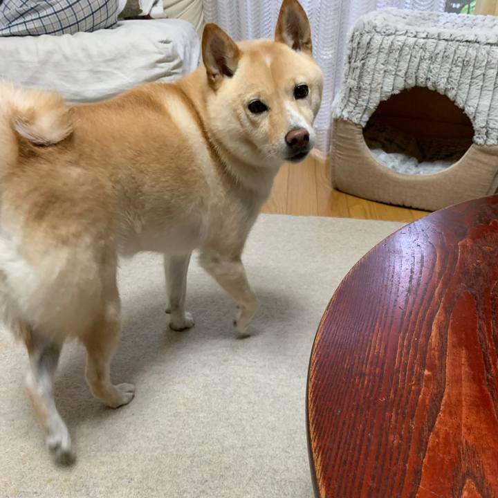 Bc2a5890 49d5 49e4 bc45 c46701ccaac6 1633557625948