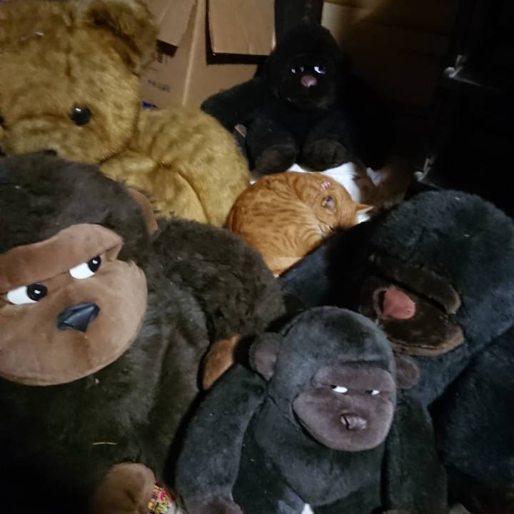 Bc2a6045 69f0 430d 8557 c5718de821c2 1603534279508