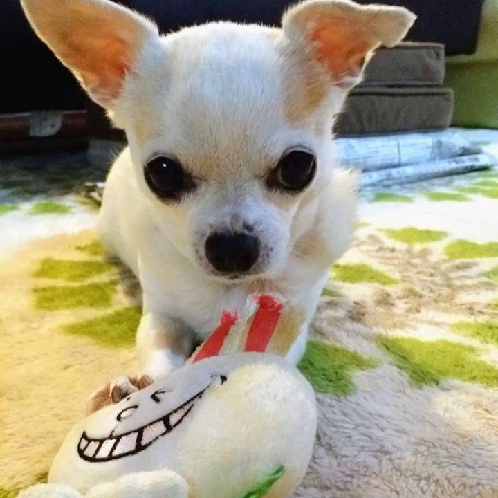 Bc2a8652 2e52 4d20 94e4 5fffb410ad71 1763130041721