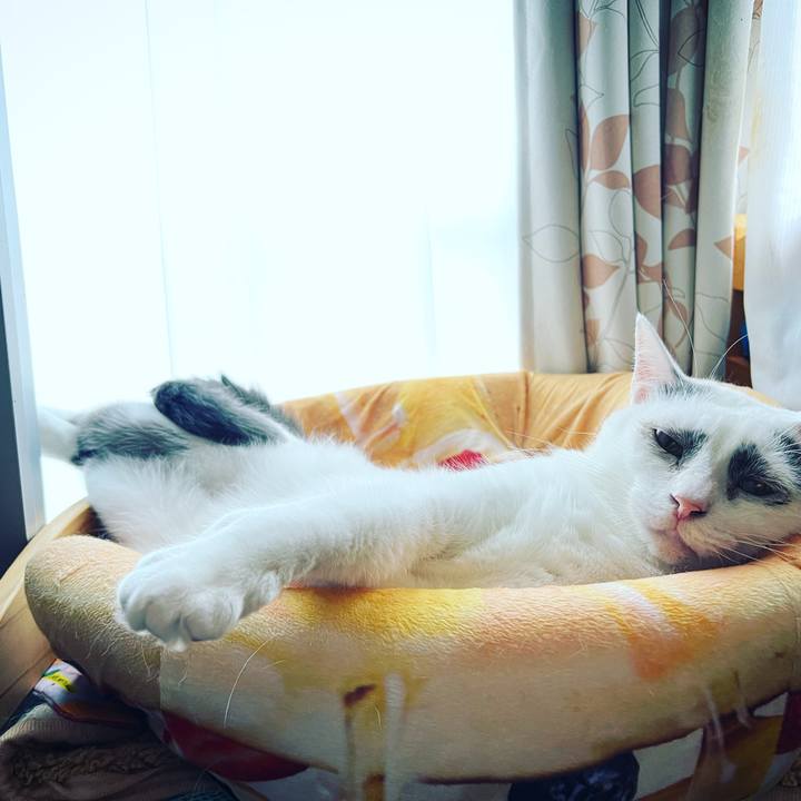 Bc2a923c fca6 40da 99b6 b08774fe6f6e 1660228883354