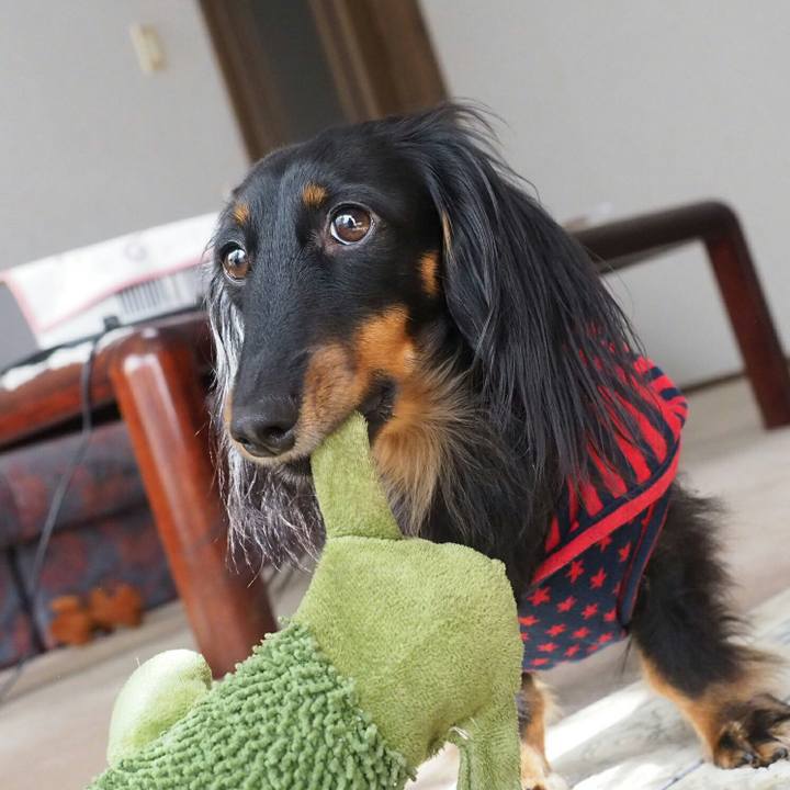 Bc2a9b4c e34b 42a7 ac07 50e0c553ccc9 1520386137216