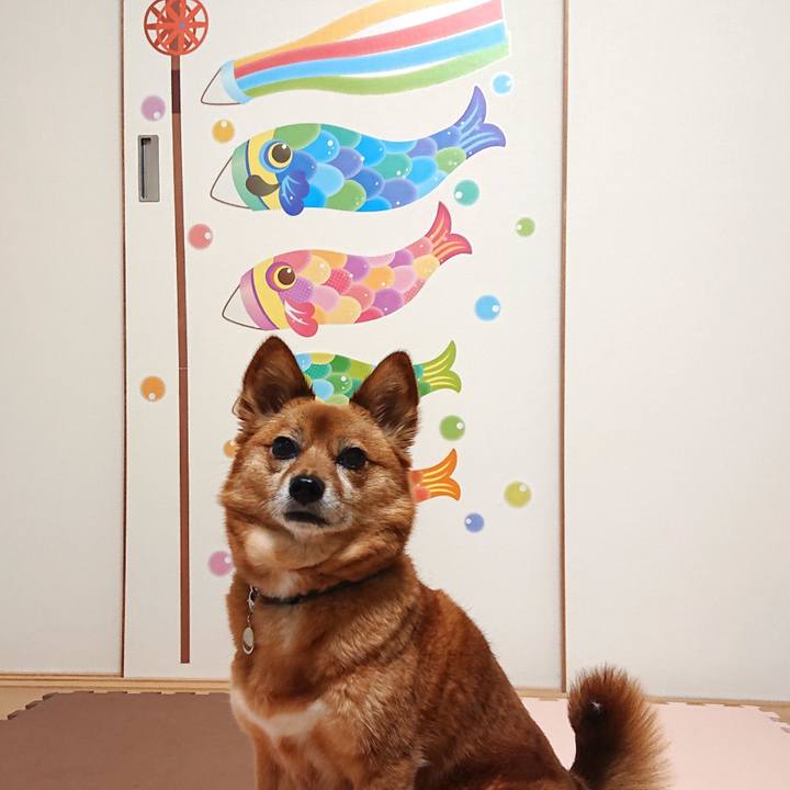 Bc2ac6cc 299f 4258 ad2c 1ad752ca3146 1620185992543