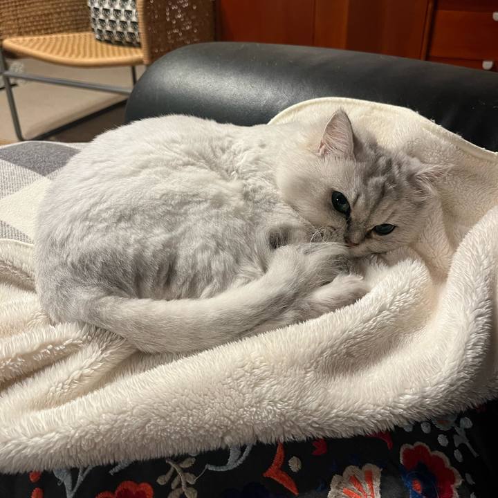 Bc2b9461 077a 475e 8fc3 27a895c25287 1665054914955