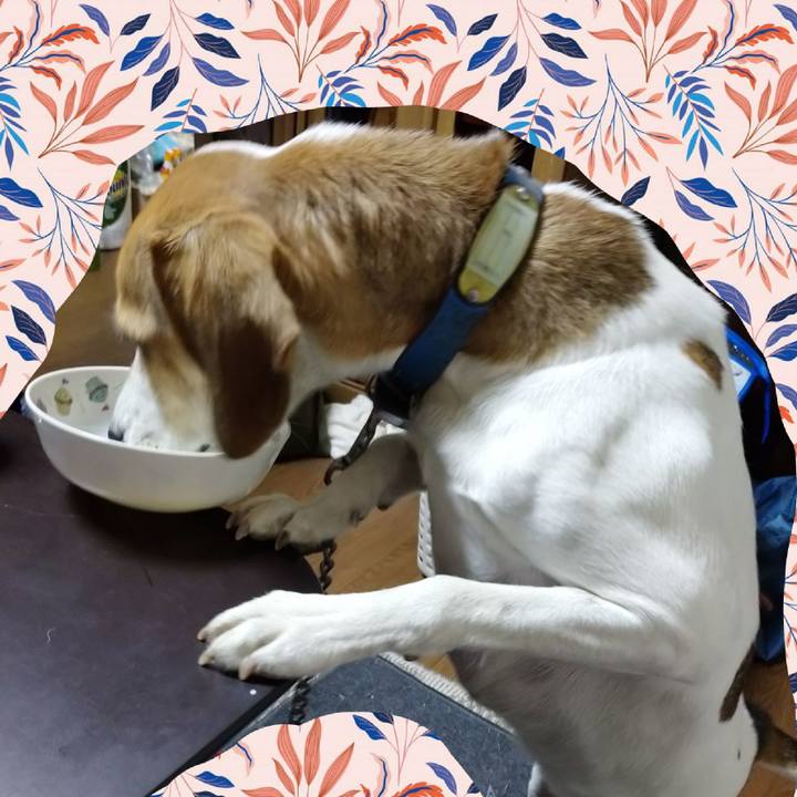 Bc2b99da a2ef 4fd2 af1c 620eee986353 1606291667501