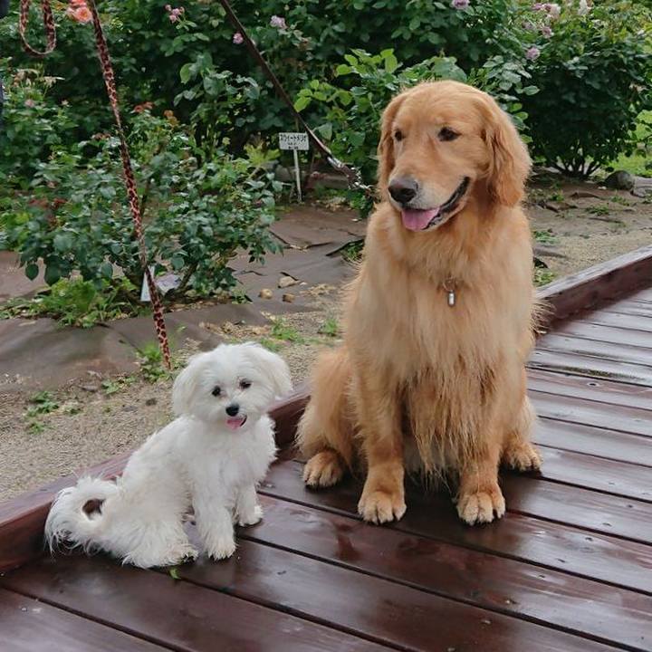 Bc2ba6f0 4d77 4734 b205 b10644e227a7 1599822653679