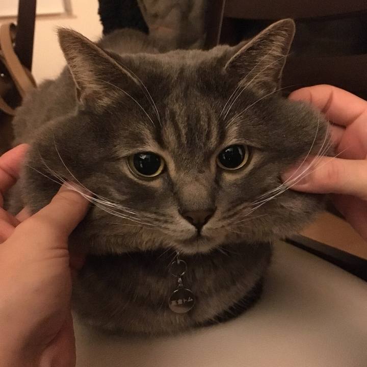 Bc2c0b86 0a5f 4d09 9ecd b316ed0350df 1519745956253