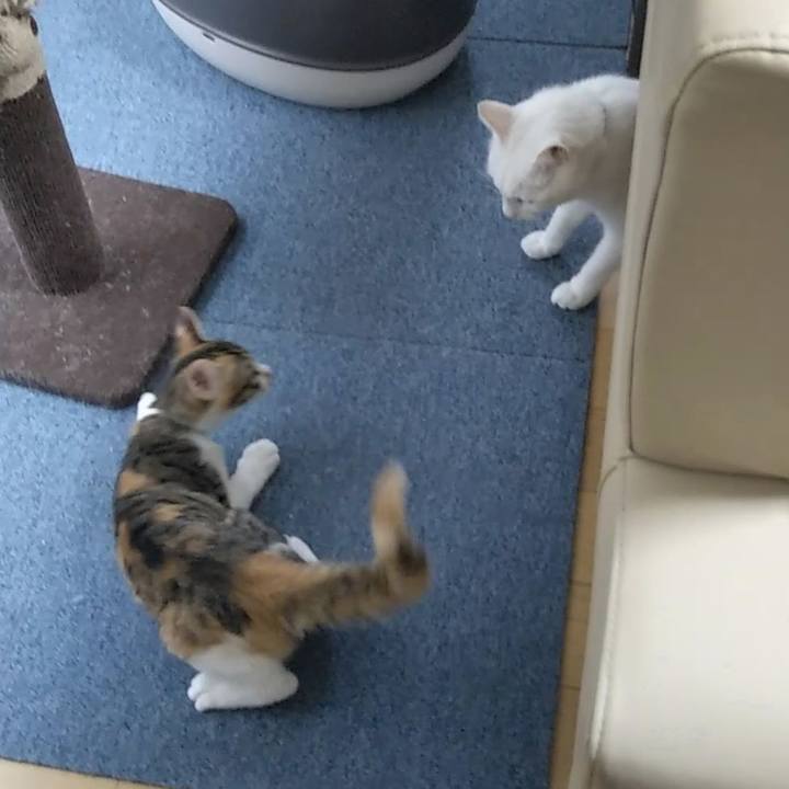 Bc2c1c07 a555 4c54 a8ed e5ba37134aba 1628891116488