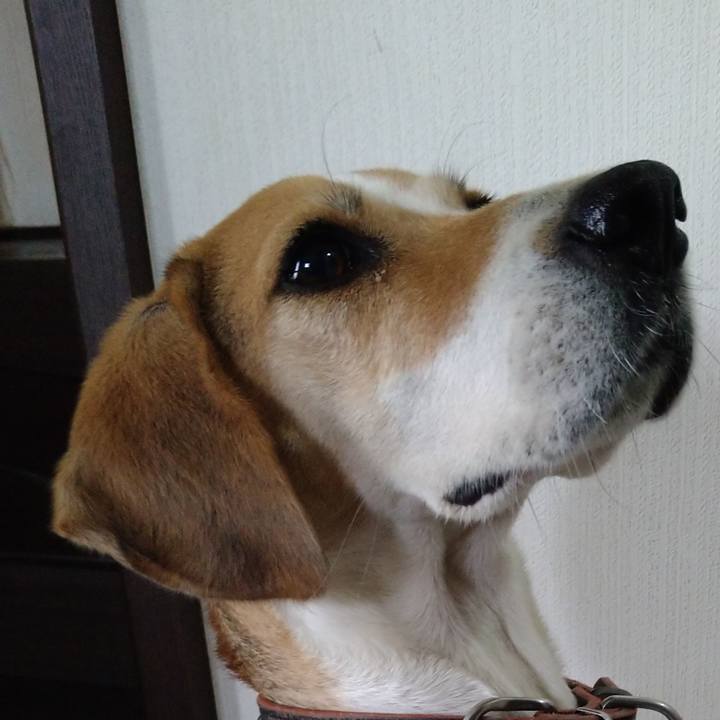 Bc2c1cf9 7ea8 47d7 87c8 e088f0e2f87f 1637463715511