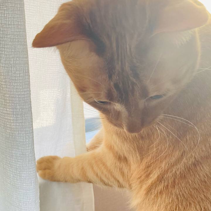 Bc2ca1fb d898 4710 a7fa 466eabfbe9c7 1613876979010