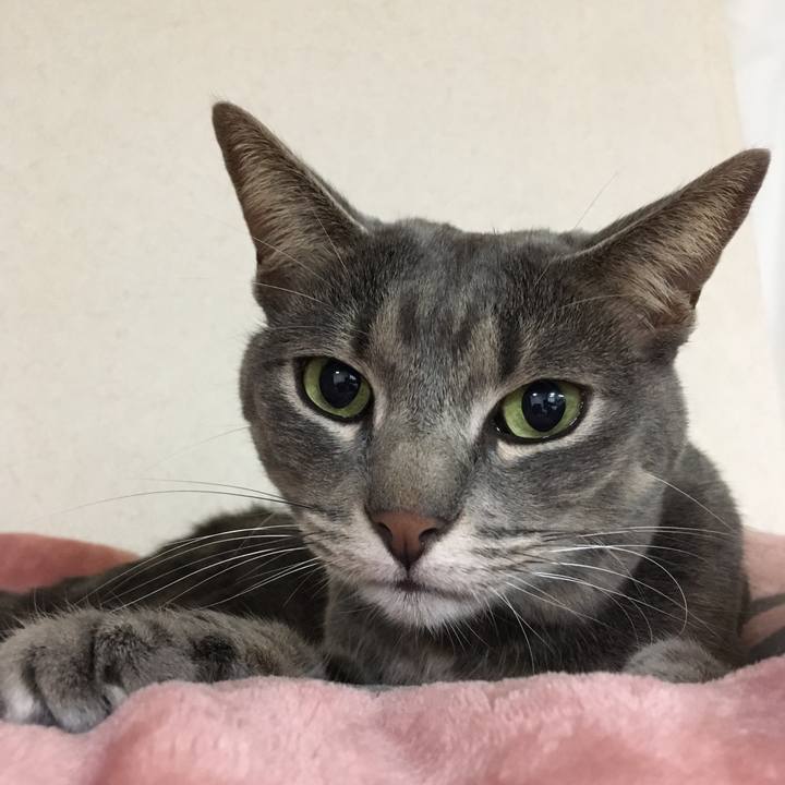 Bc2cb4e9 536b 434c b8b5 69438318b828 1574518158579