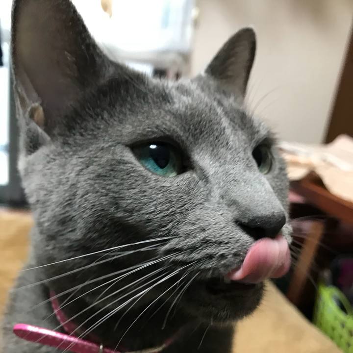 Bc2cdbcc c99d 483b 85d4 d54c91a766e4 1519131357947