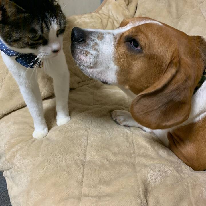 Bc2cf03b 340f 4d45 b88d 8e6f496fb221 1574431960598