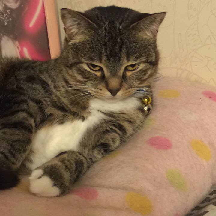 Bc2d0009 488a 4184 9368 6d52110623f4 1553962787092