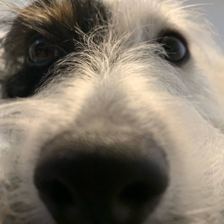 Bc2d0d80 13a1 441c b74e 7faffd9e1153 1571958933544