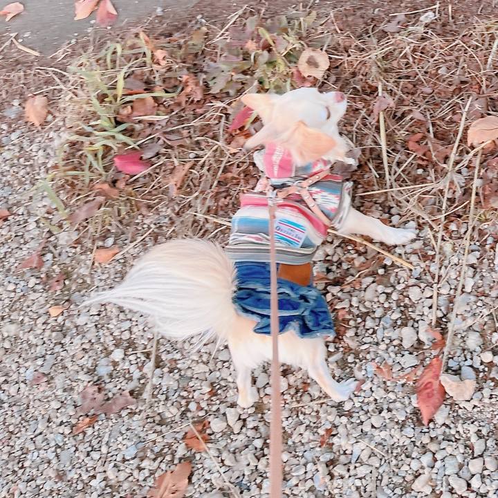 Bc2d1116 2fa5 4856 9b72 58e97ccb5f98 1670835088861