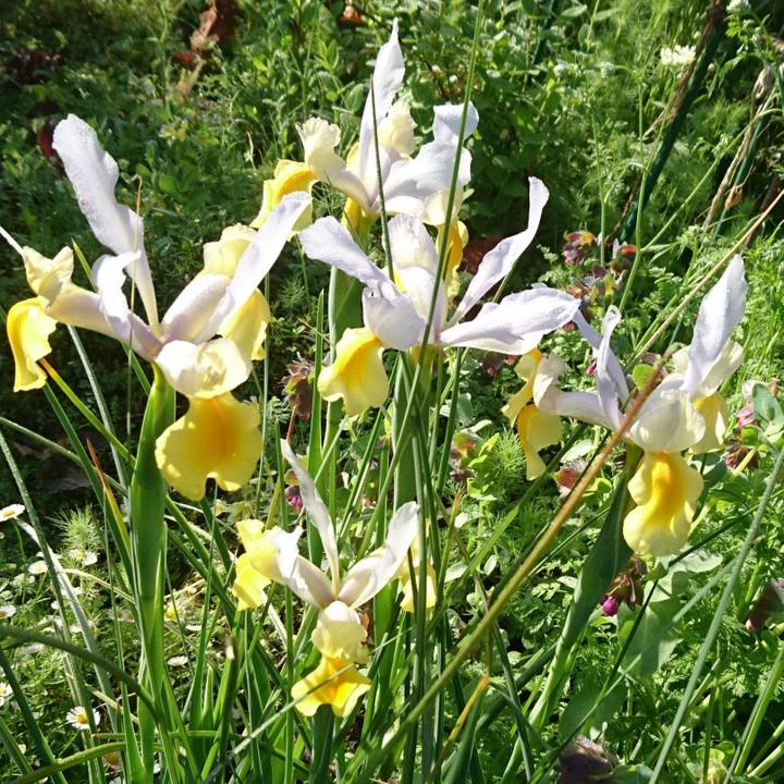 Bc2d2464 5fac 43c3 8c16 b932e05b788e 1524699019973