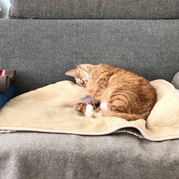 Bc2d9094 63ff 4e8c 99a8 593f04fbf816 1582343254978