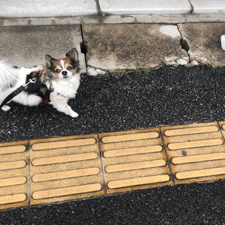 Bc2d9c92 c348 47c3 a3cc 0cd81727fdb8 1650419249879