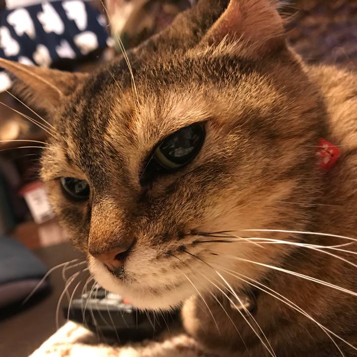 Bc2d9cda 6e56 4d9c 8b06 9a7267d44e72 1518680174830