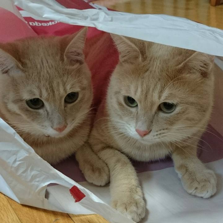 Bc2da5b7 dde2 43fc 9e70 b570ced42758 1763193505248