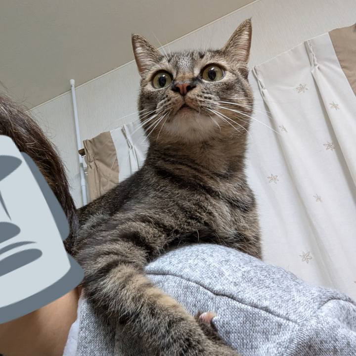 Bc2db380 107b 4663 90d2 3c6fb96a3420 1738209606723