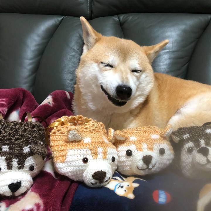 Bc2dc54c f754 44c8 91b4 d68715bc9cad 1607690522231