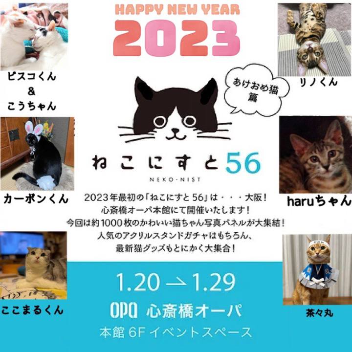 Bc2dfacd 5348 4840 8663 9c860b01f0eb 1674039228949