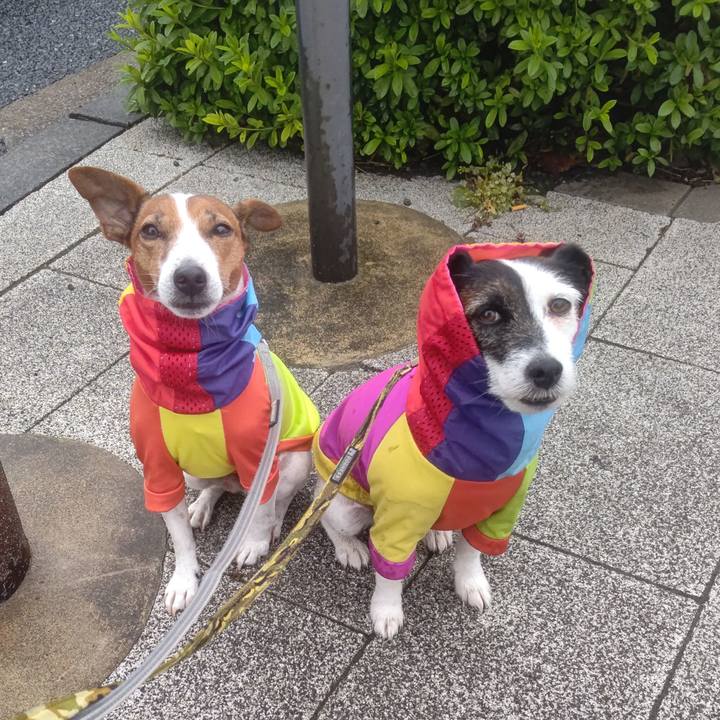 Bc2e0ad6 7a02 47cc a9e9 28c6dbf1a2bf 1700175497793